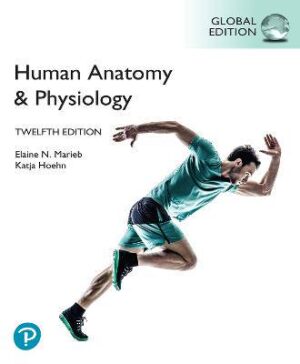 Human Anatomy & Physiology, Global Edition - 9781292421803