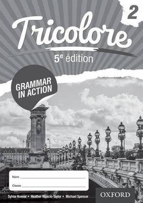 Tricolore 2 Grammar in Action WB (Pack 8) 5'th Edition - 9781408527443
