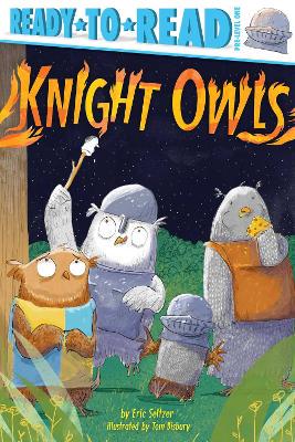 RR1 Knight Owls - 9781534448803