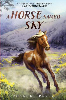 A Horse Named Sky - 9780062995957