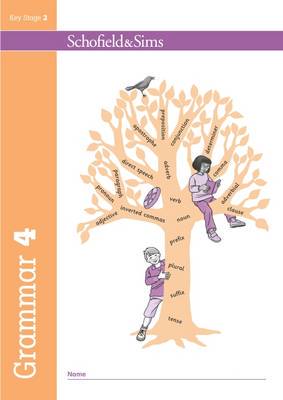 Grammar and Punctuation Book 4 (S&S) - 9780721713960