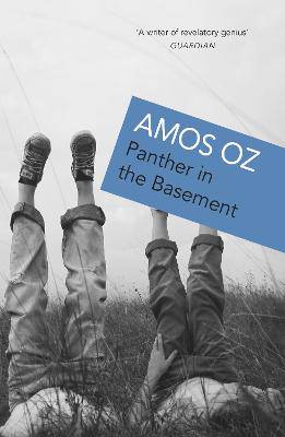 Panther in the Basement - 9780099754015