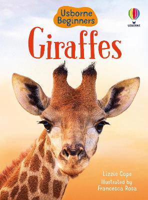 Usborne Beginners:Giraffes HB - 9781474968065