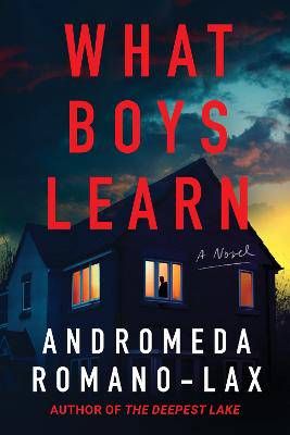 What Boys Learn - 9781641296915