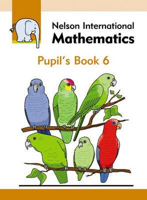 Nelson International Maths Pupil Book 6 - 9781408507780