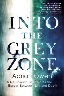 Into the Grey Zone - 9781783351398
