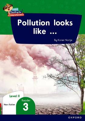 Oxford Reading for Comprehension HL G03 Level 11 Reader 3: Pollution looks like - 9780190793937