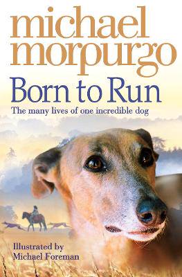 Born to Run - 9780007230594