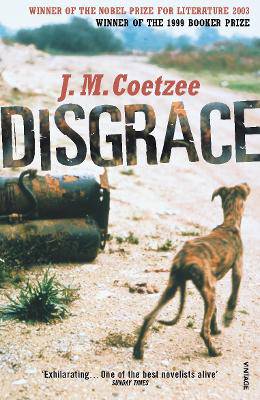 Disgrace - 9780099289524