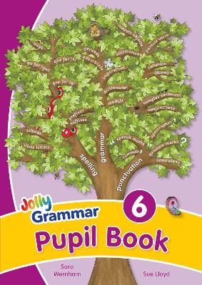 Jolly Grammar 6 Pupil Book - 9781844145133