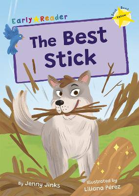 Best Stick, The - 9781848869981