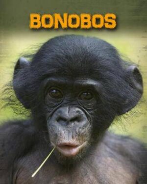 Bonobos - 9781406233018