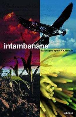 Intambanane - 9780702156458