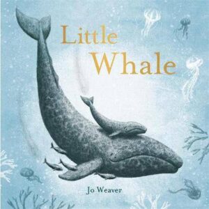 Little Whale  - 9781444937503