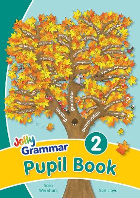 Jolly Grammar 2 Pupil Bk - 9781844143894