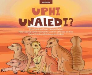 Uphi Unaledi? - 9781485629214