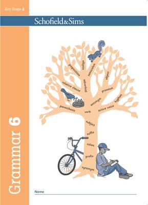 Grammar and Punctuation Book 6 (S&S) - 9780721714004