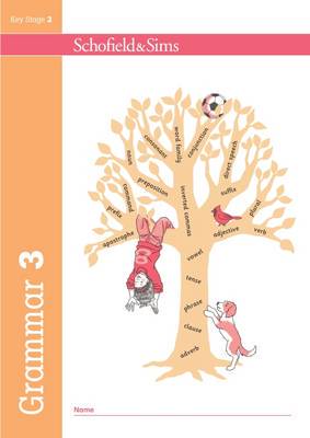 Grammar and Punctuation Book 3 (S&S) - 9780721713946