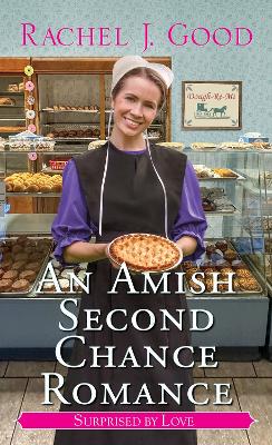 Amish 2nd Chance Romance - 9781420157741