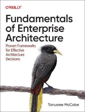 Fundamentals of Enterprise Architecture: Proven Frameworks for Effective Architecture Decisions - 9781098159375
