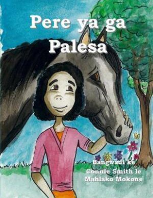Pere ya ga Palesa - 9780639924229