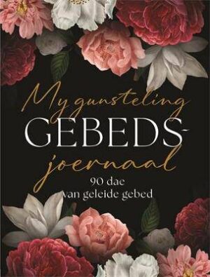 My gunsteling gebedsjoernaal: 90 dae van geleide gebed - 9781779881762