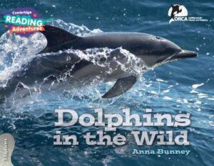 Cambridge Reading Adventures Dolphins in the Wild 3 Explorers - 9781108405836