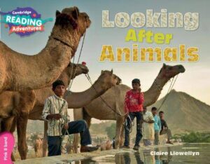 Cambridge Reading Adventures Looking After Animals Pink B Band - 9781316605820