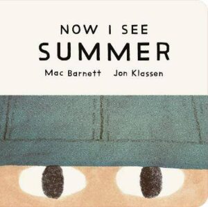 Now I See Summer: One of four seasonal baby board books from a multi-award winning, New York Times bestselling duo - 9781529535747