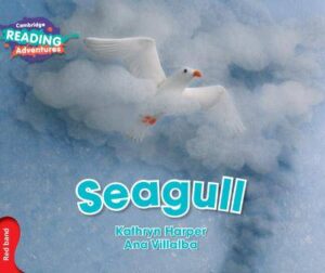 Cambridge Reading Adventures Seagull Red Band - 9781316503102