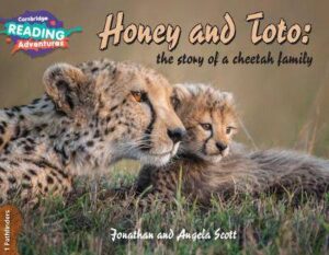 Cambridge Reading Adventures Honey and Toto: The Story of a Cheetah Family 1 Pathfinders - 9781108436151