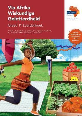 Via Afrika wiskundige geletterdheid: Gr 11: Leerderboek - 9781415423400
